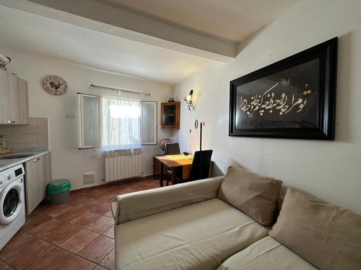 Pitti Apartment 佛罗伦萨 外观 照片