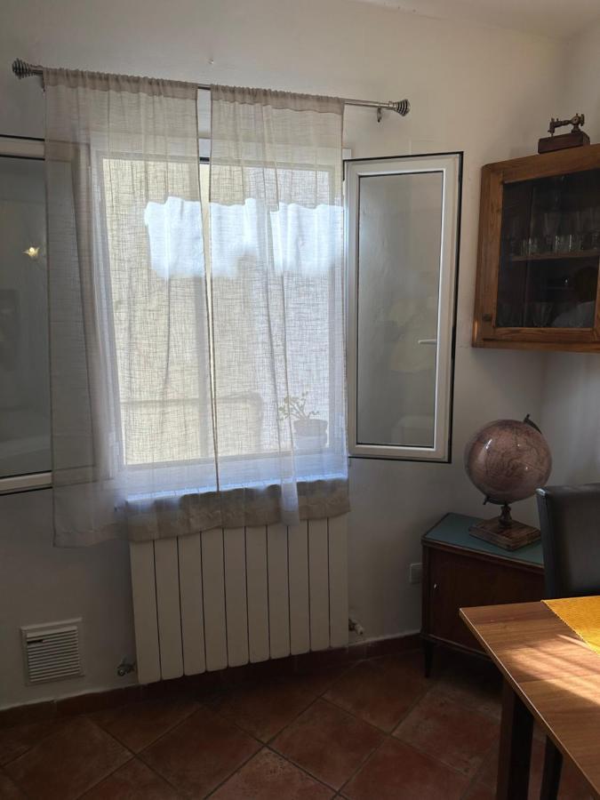 Pitti Apartment 佛罗伦萨 外观 照片