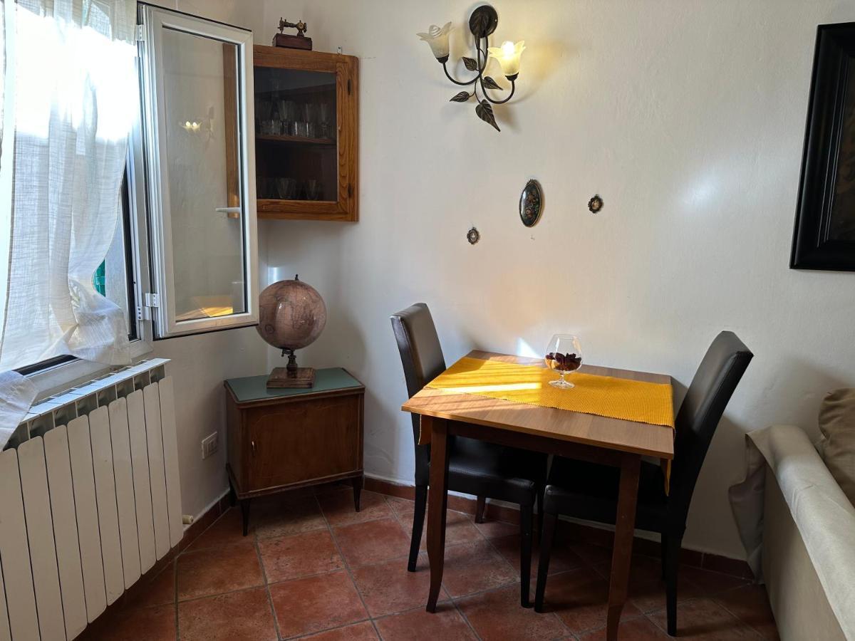 Pitti Apartment 佛罗伦萨 外观 照片